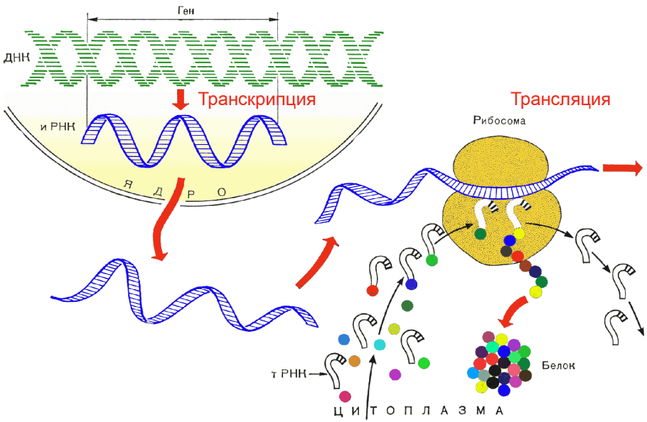 Синтезы на основе метана
