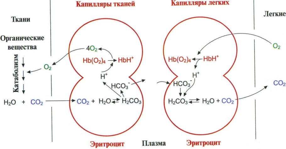 Ректификационная колонна первичной переработки нефти
