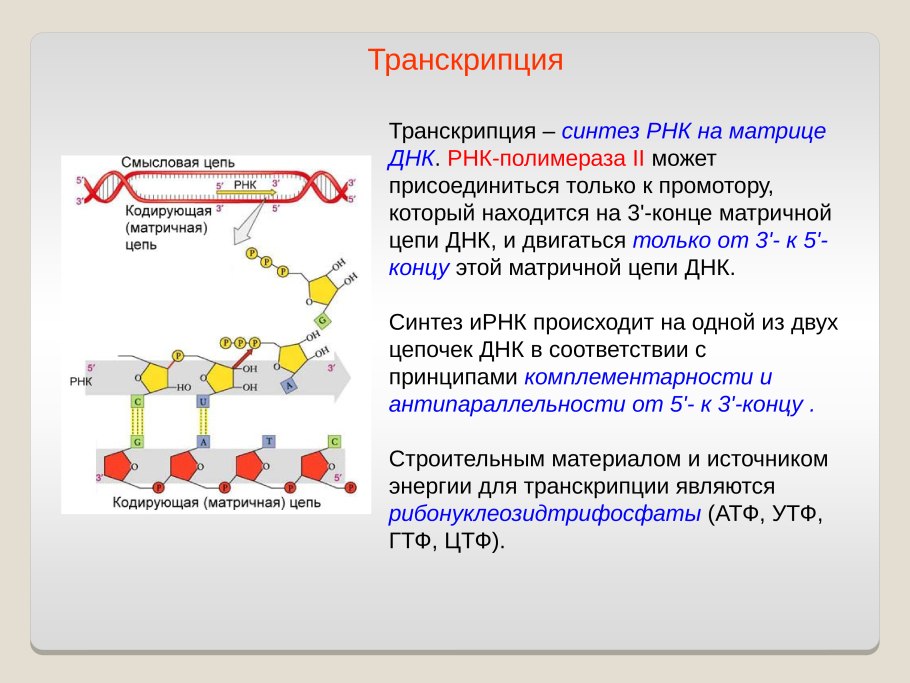 Геоинформационные системы