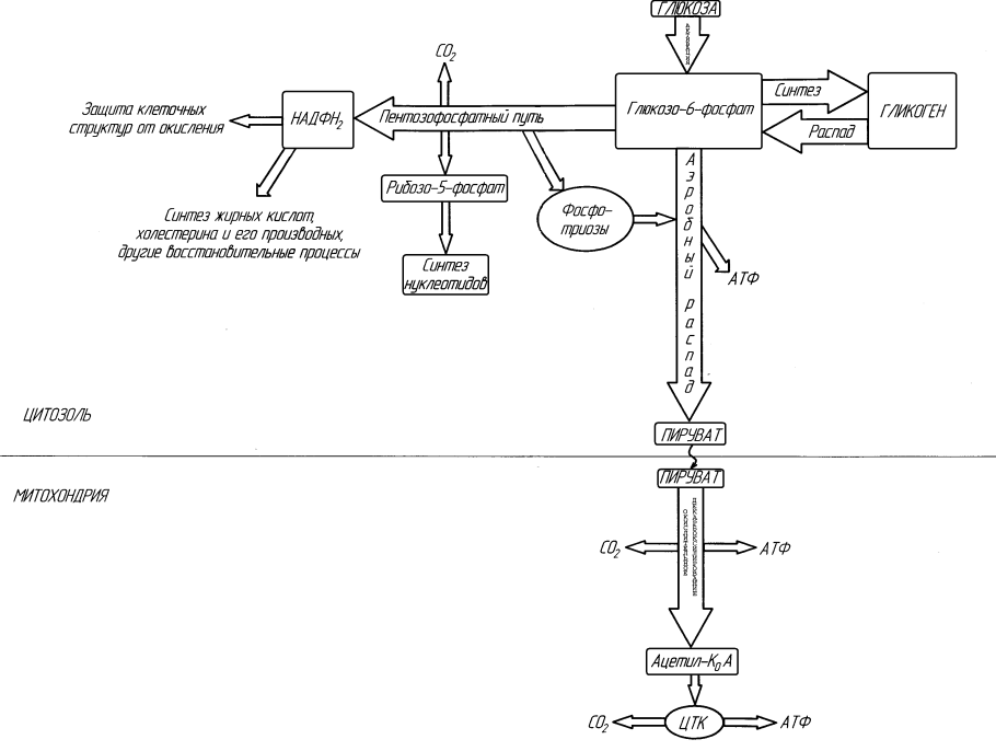Механизированный способ добычи нефти