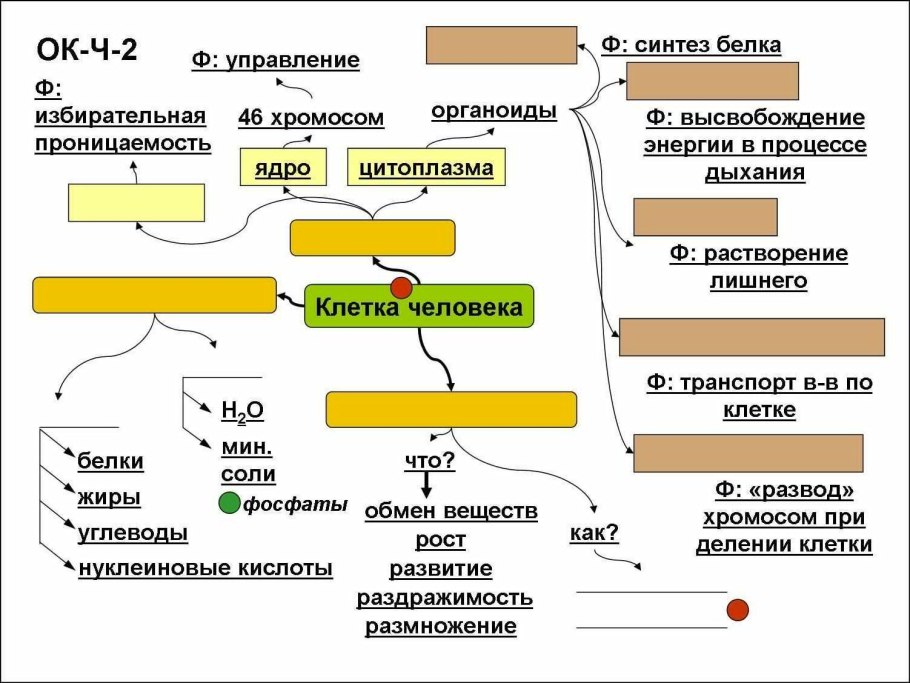 Опорные конспекты по биологии 9 класс Пономарева