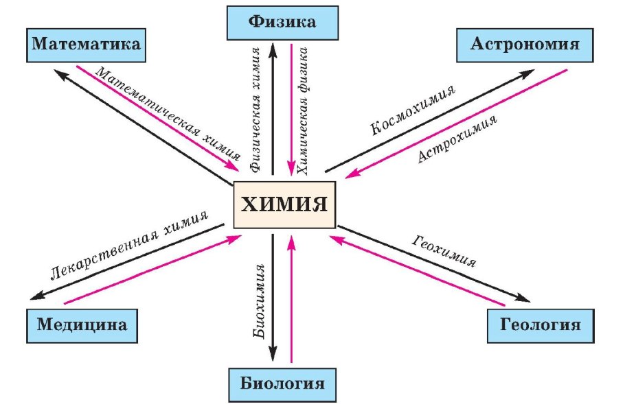 Этапы фотосинтеза схема
