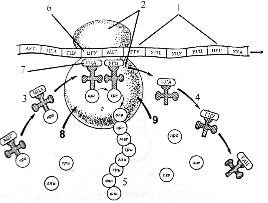 Отрасли химической промышленности