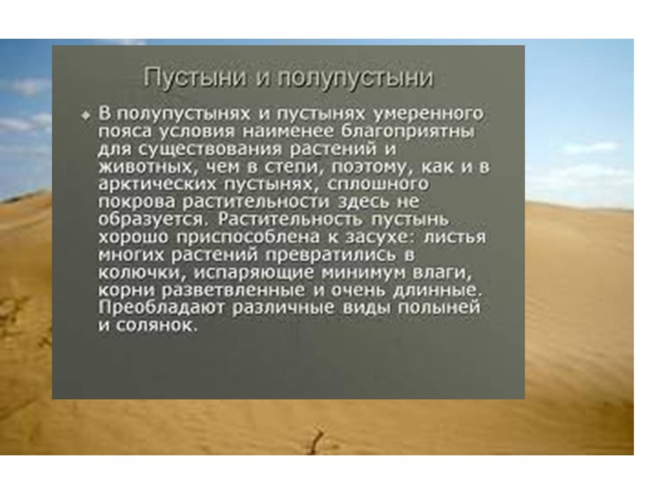 Полупустыни и пустыни умеренного пояса климат