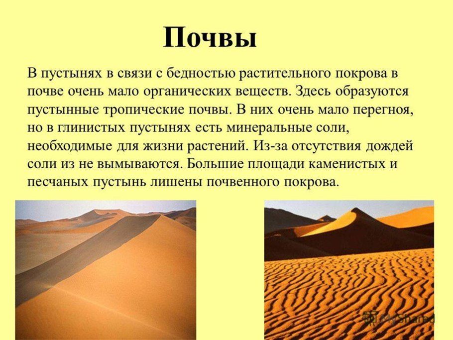 Полупустыни и пустыни почвы