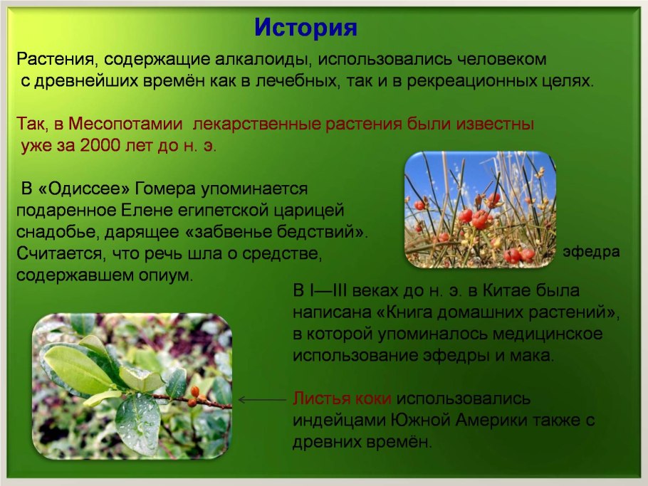 История лекарственных растений