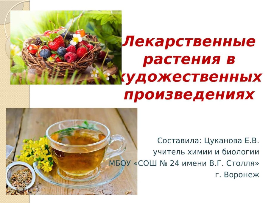 Презентация лекарственные растения РК