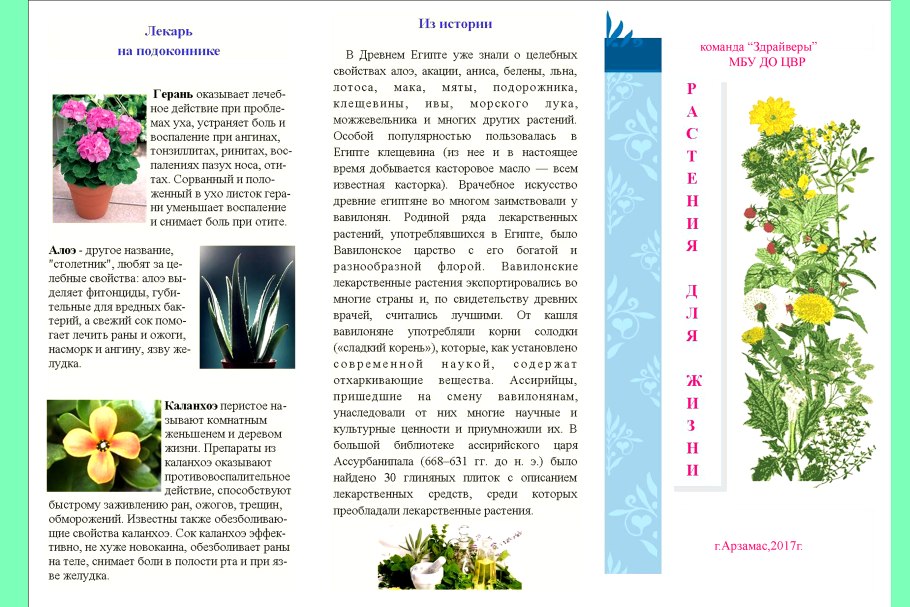 Буклет с растениями
