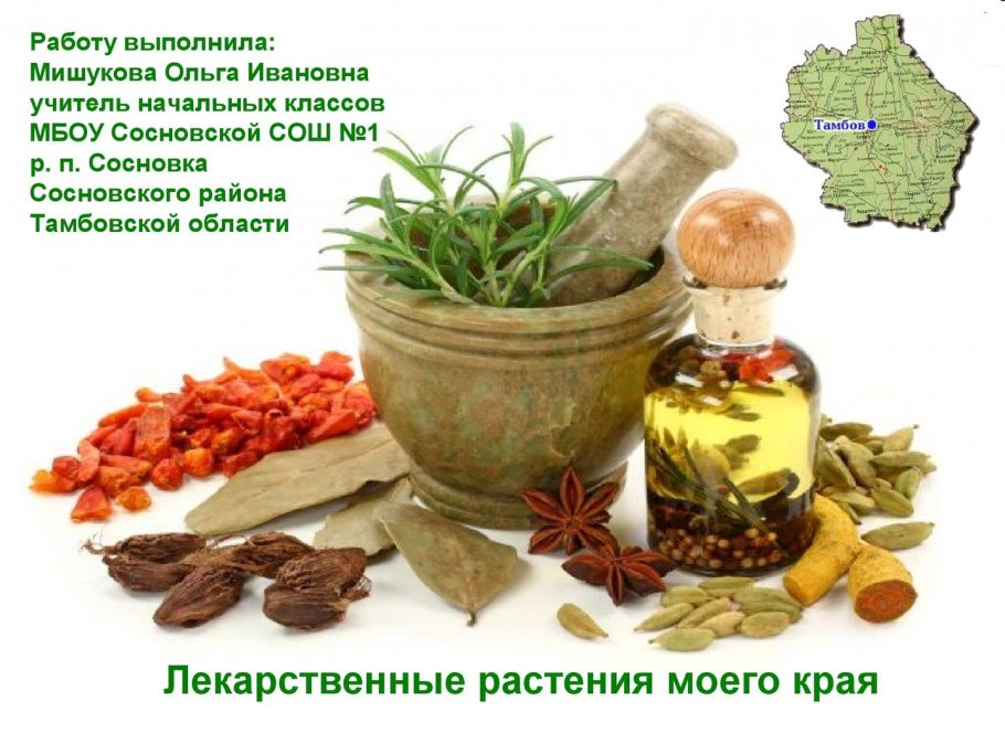 Травы специи