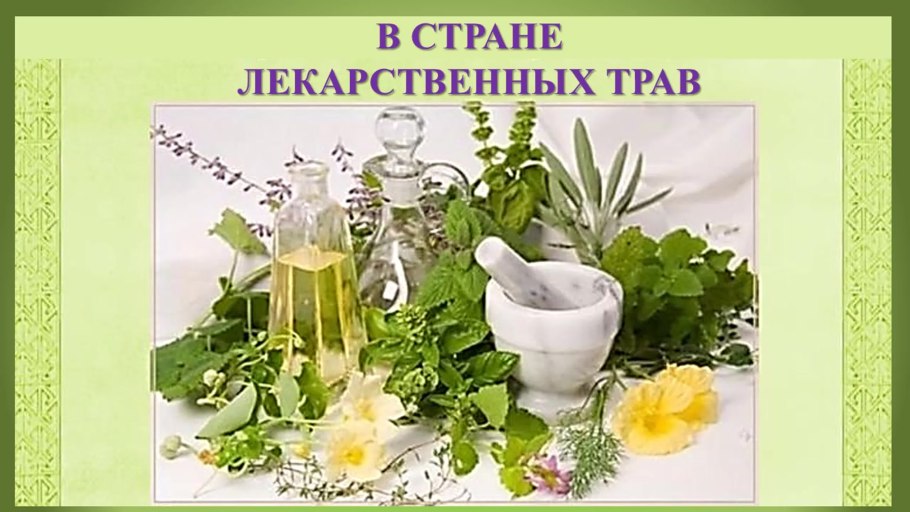 Лечебные растения Кузбасса