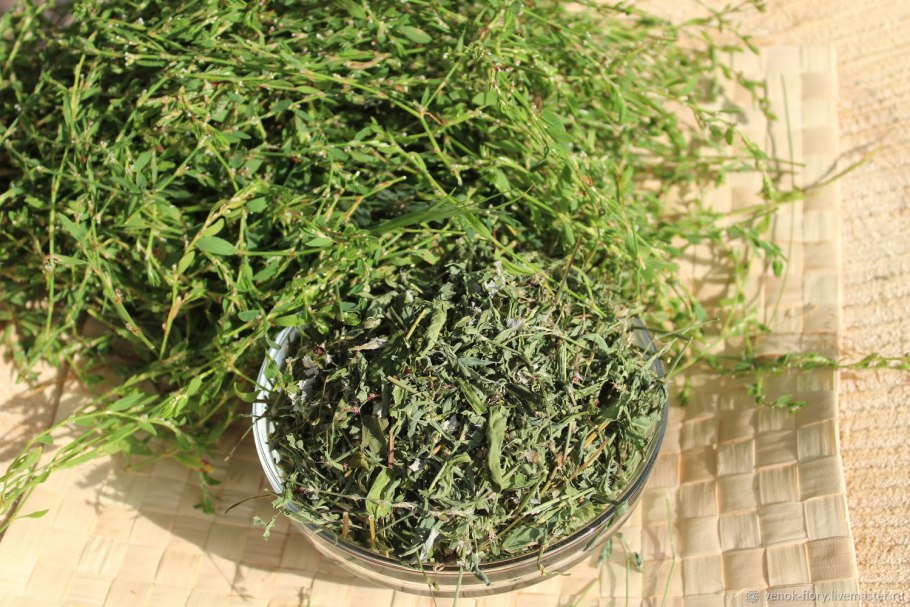 Горец птичий Азбука трав