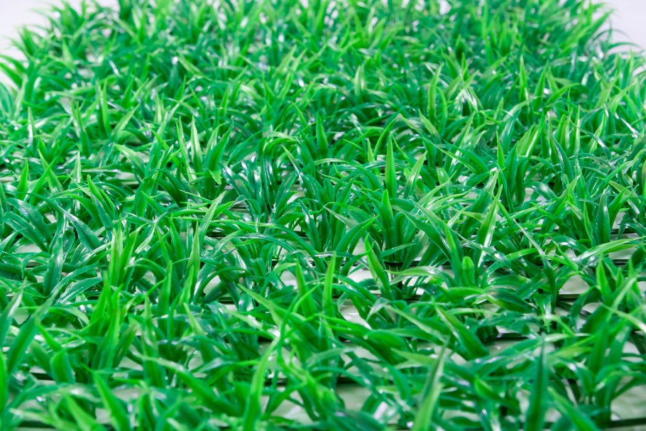 Трава мурава семена