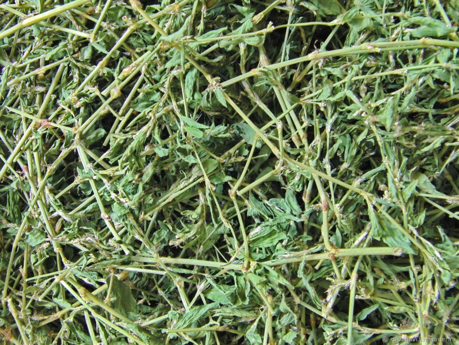 Травушка муравушка трава