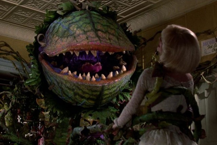 «Насекомоядные растения» Дарвин