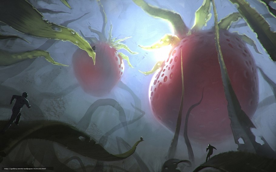 Венерина мухоловка