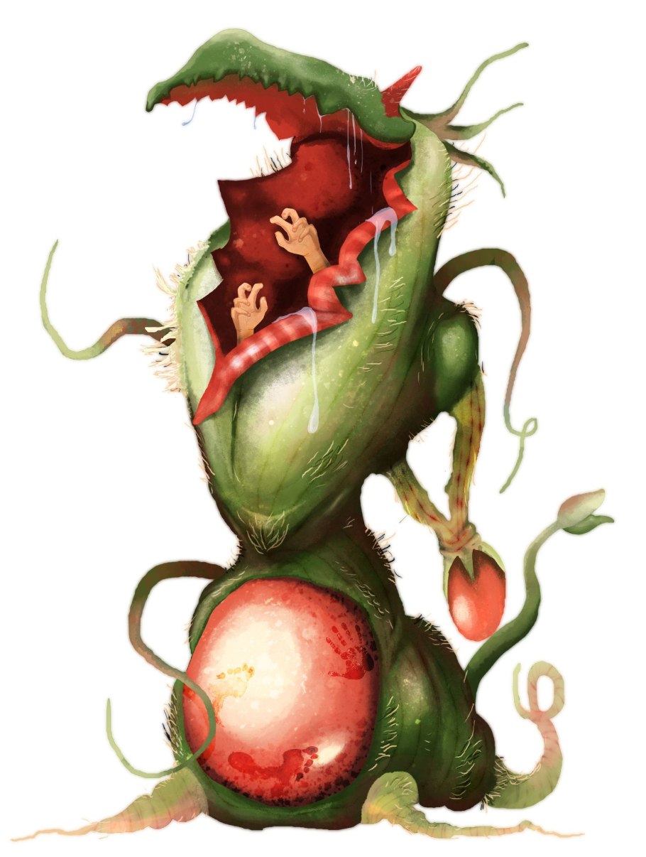 Хищные растения в Аптекарском Городке