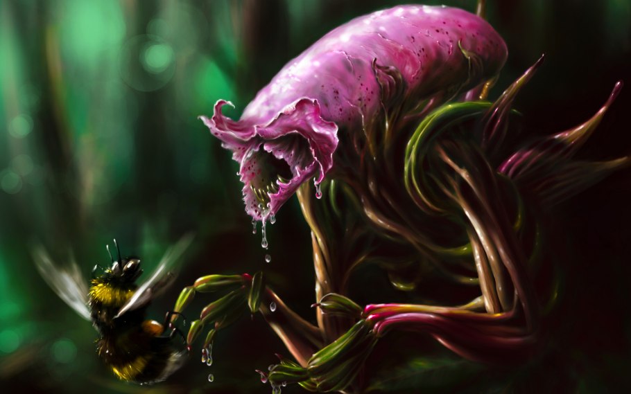 Раффлезия Арнольди