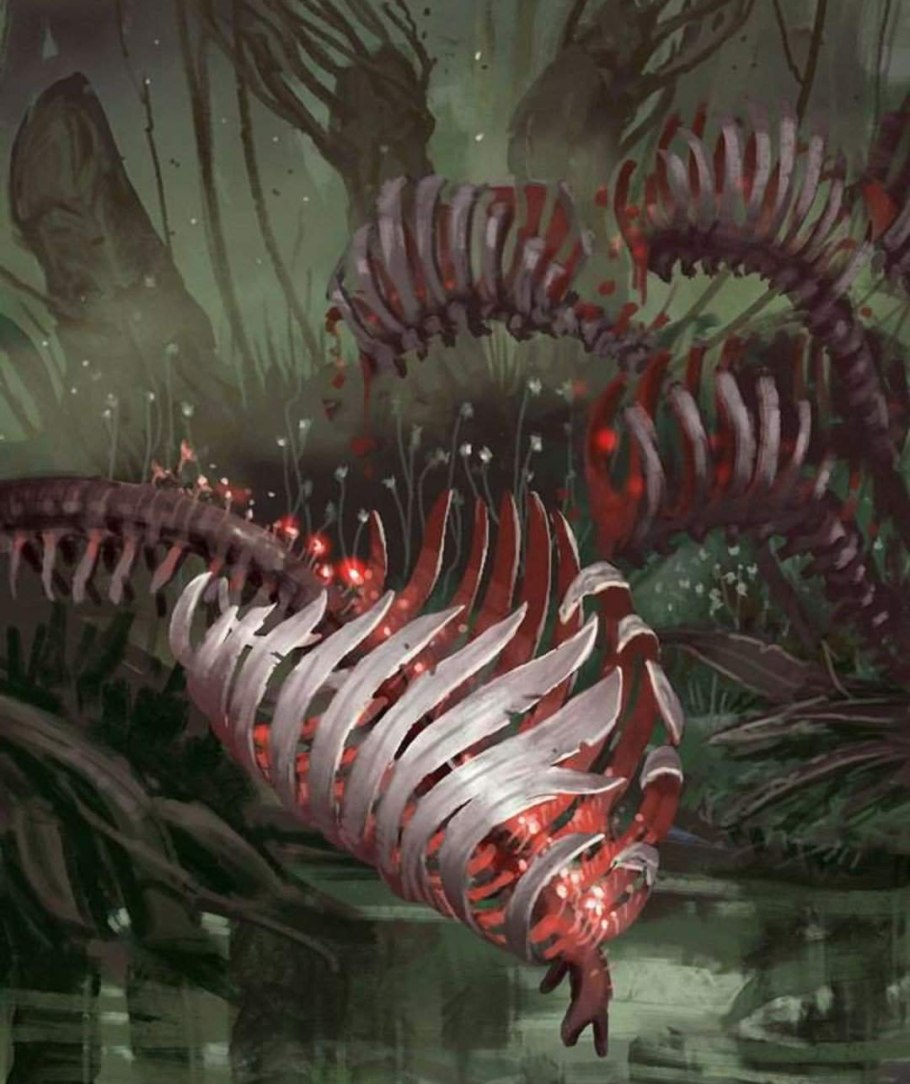 Дарлингтония растение