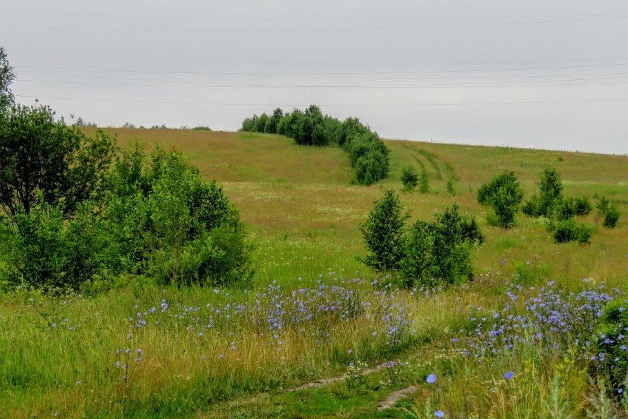 Шарчинская степь