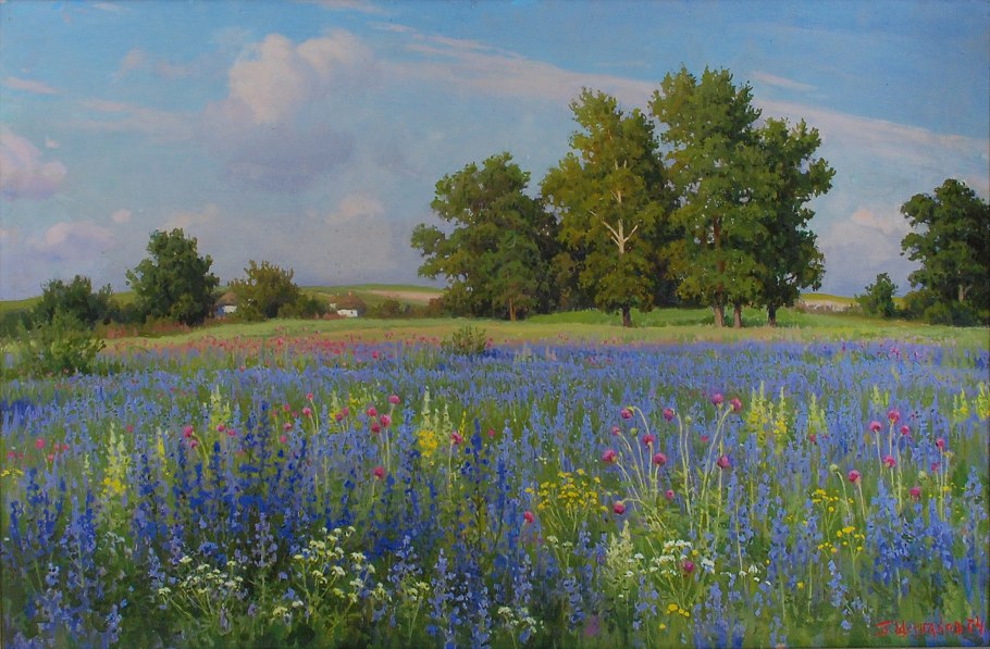 Ковыль Донской край
