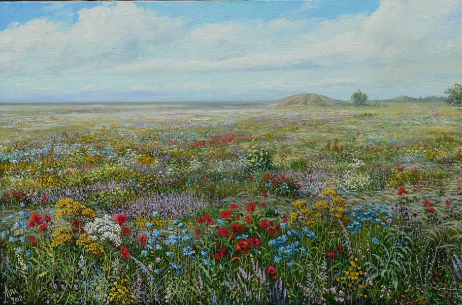 Луговые травы ковыль