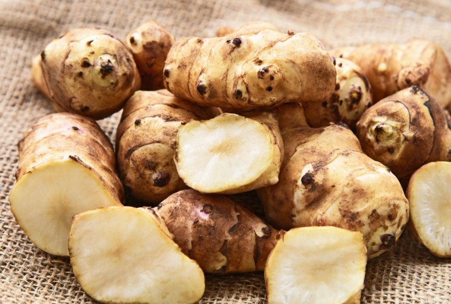 Топинамбур куст