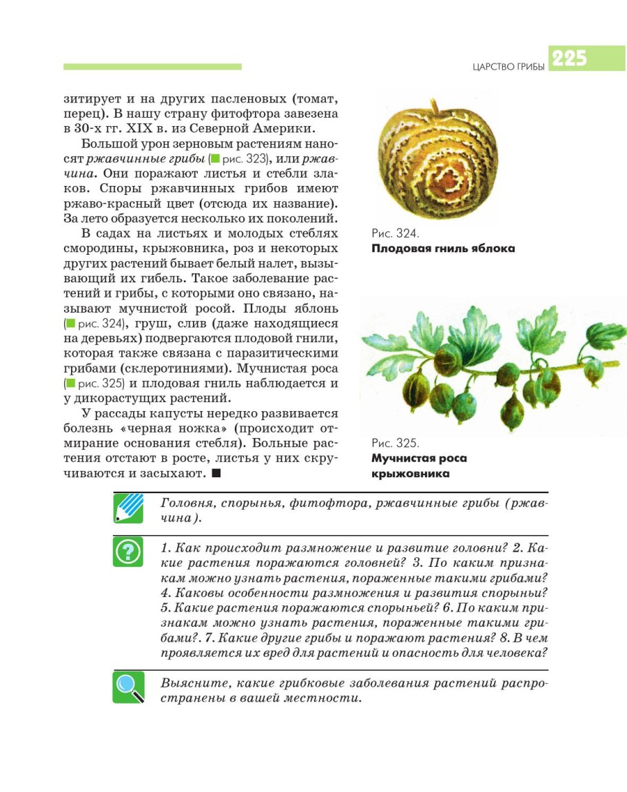 Грибковые заболевания культурных растений