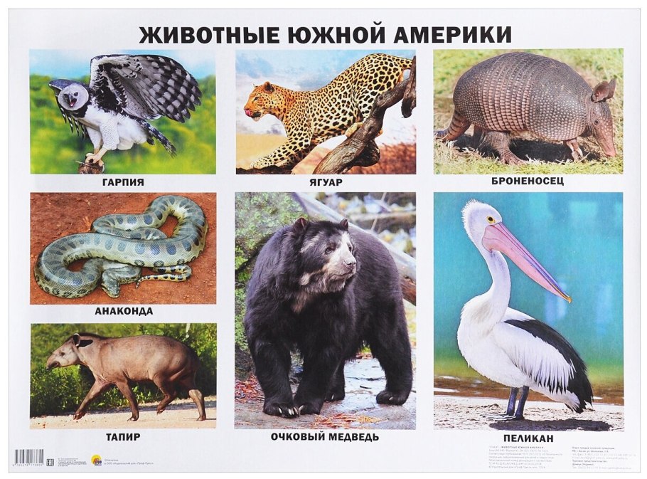 Нового света и старый свет