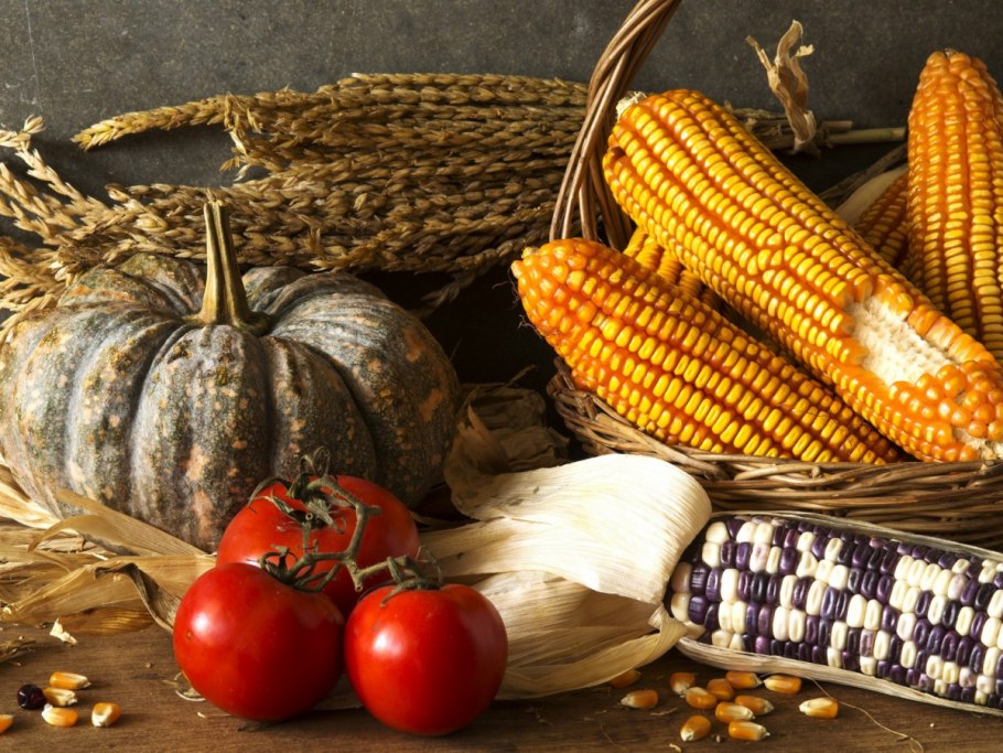 Кукуруза тыква фасоль