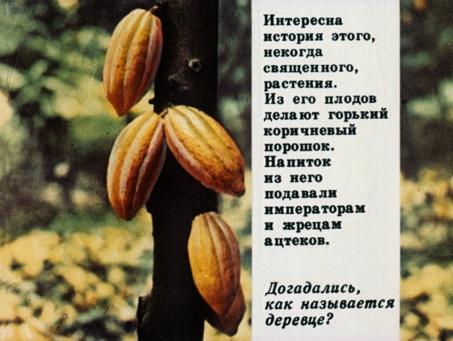 Культурные растения материков