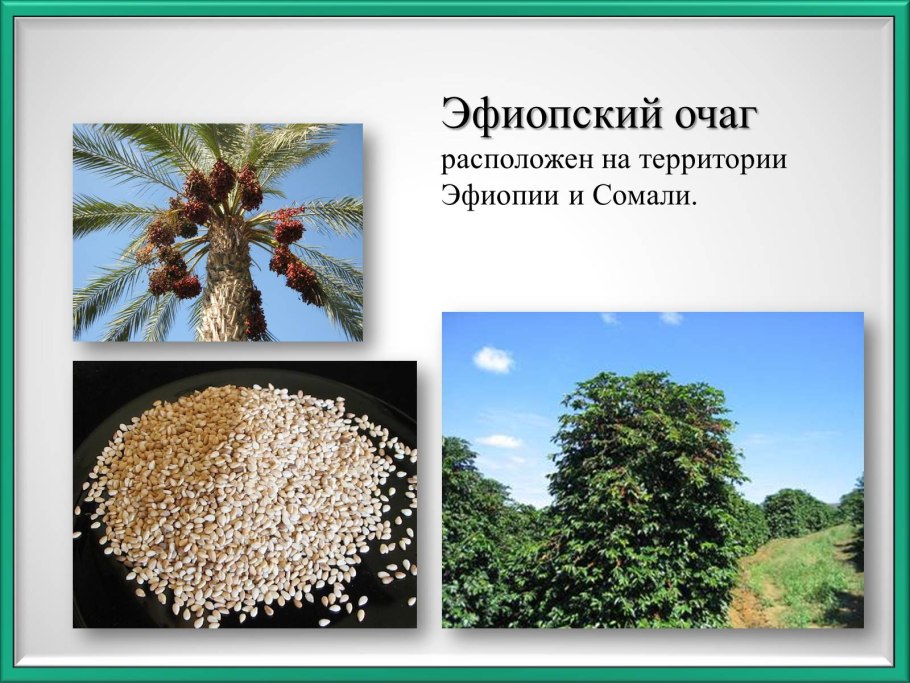 Эквадор бананы плантации