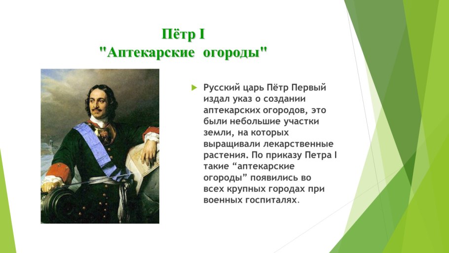 Урожай с огорода