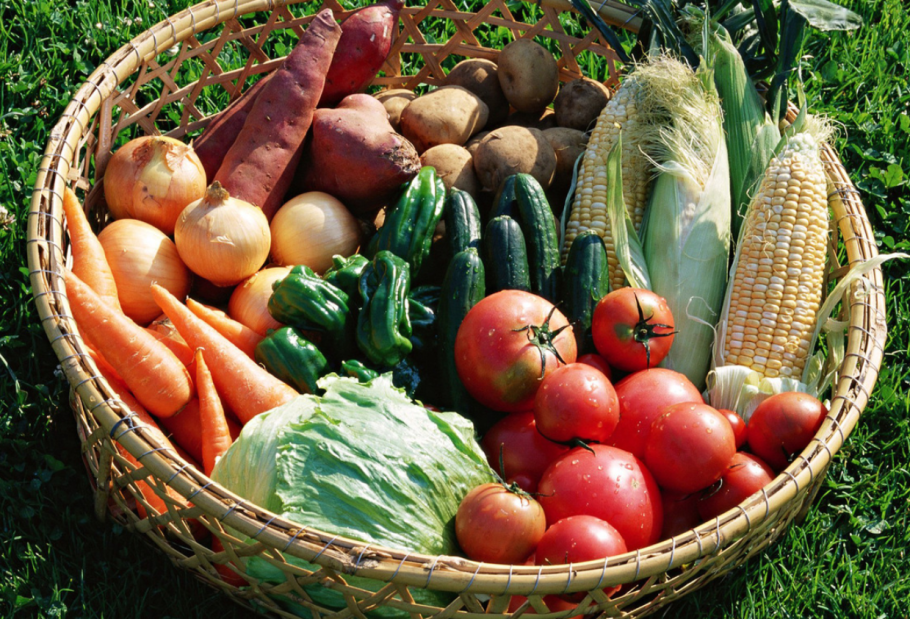 Селекция растений