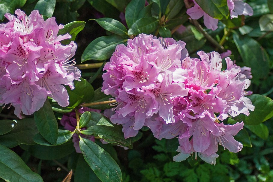 Эльбрус национальный парк Приэльбрусье