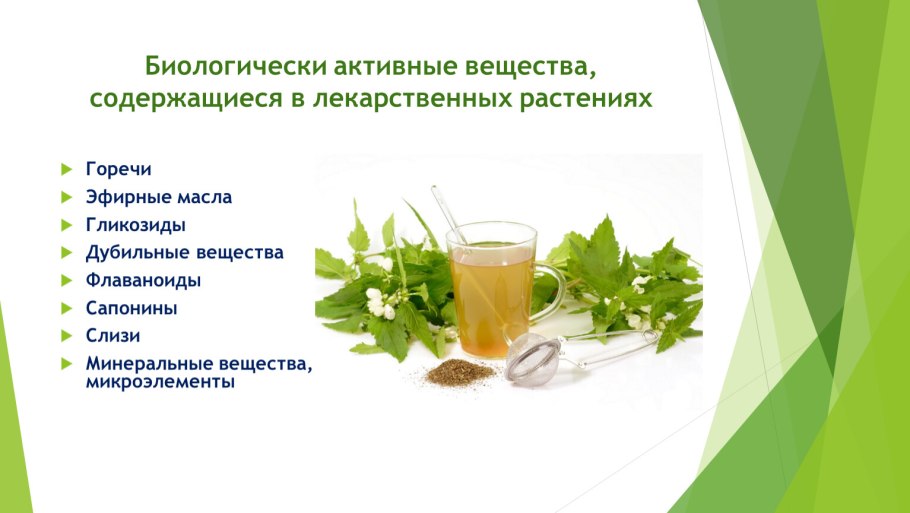 Голубика обыкновенная гонобобель