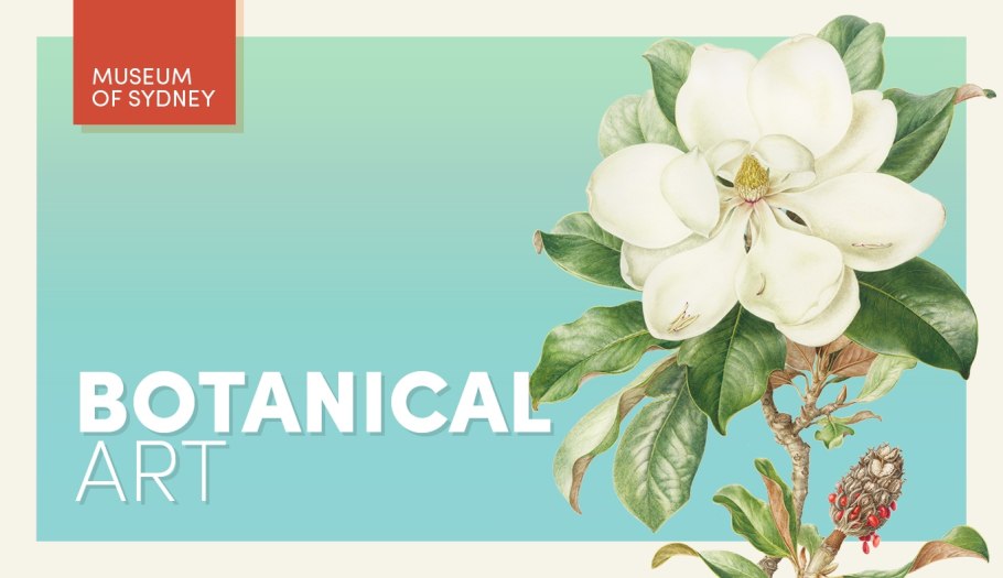 Цветы на французском языке