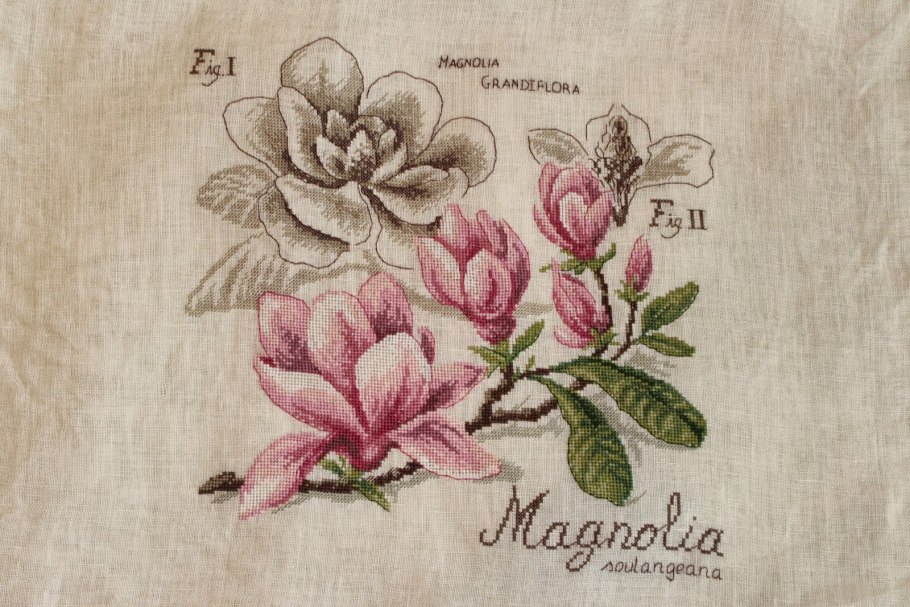 Волчья Магнолия