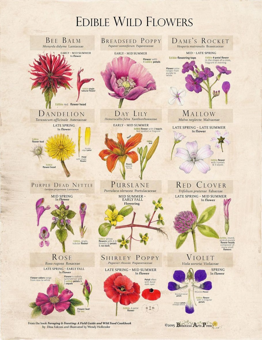 Flower meanings