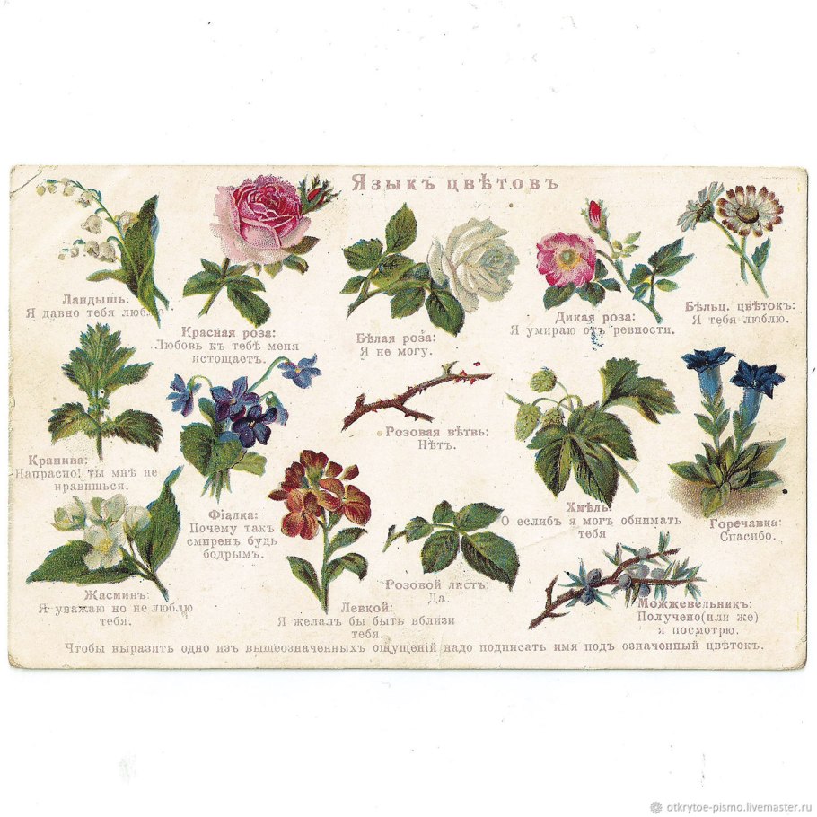 Цветочный словарь