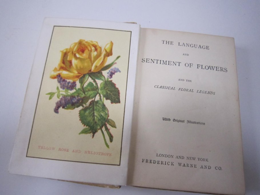 Селам или язык цветов книга