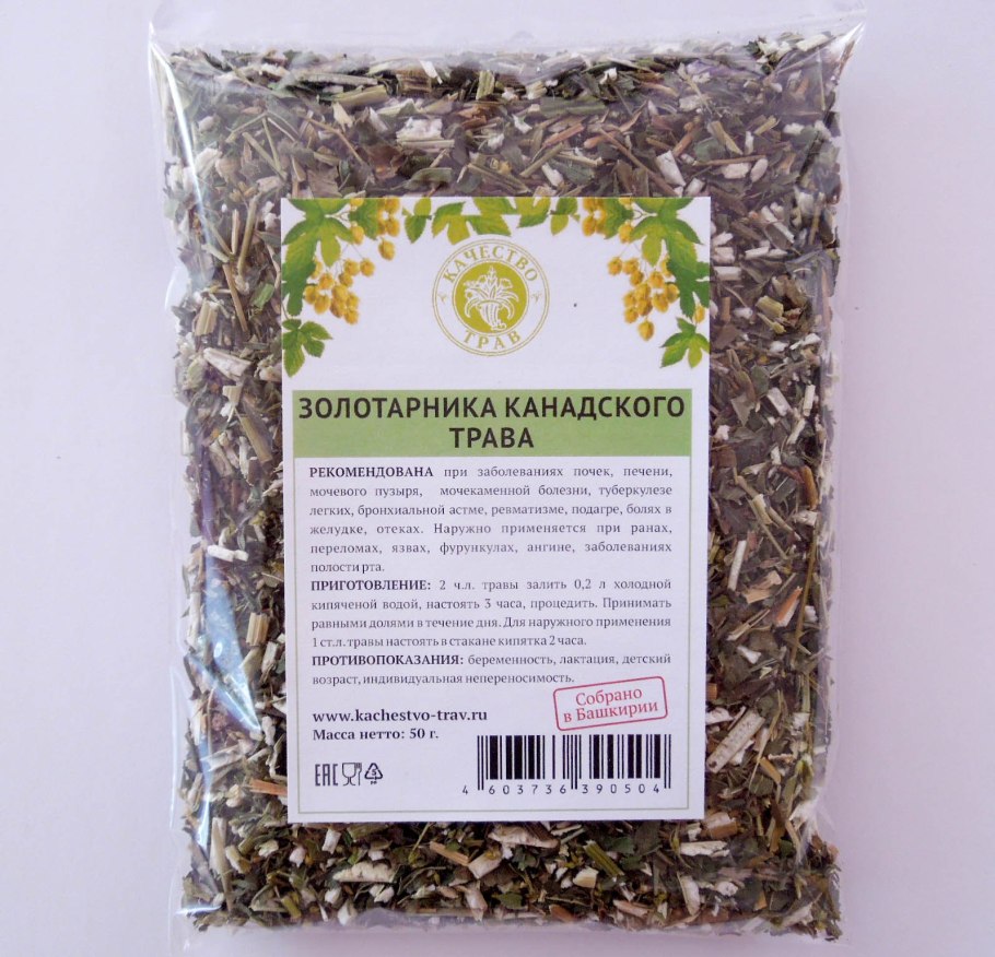 Золотарник канадский (Solidago canadensis l.)