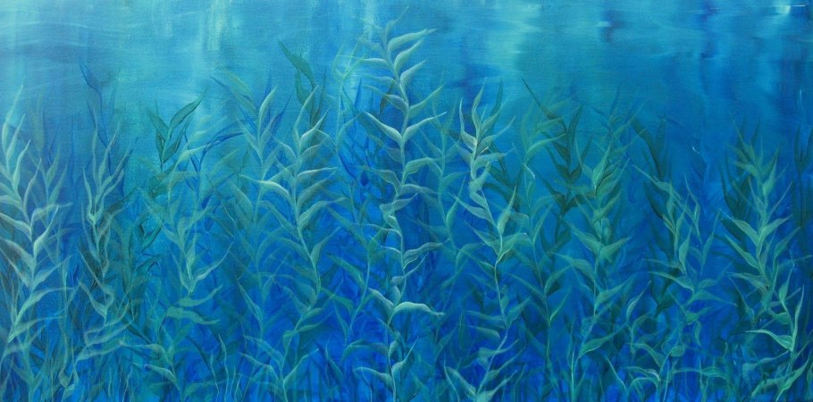 Фукоидан бурые водоросли