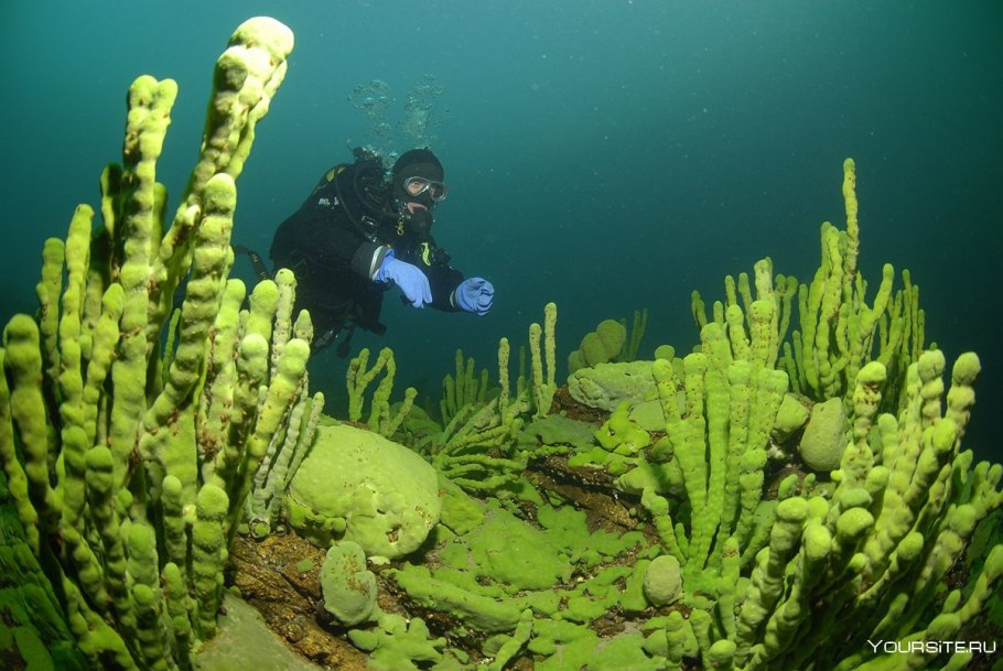 Река под водой