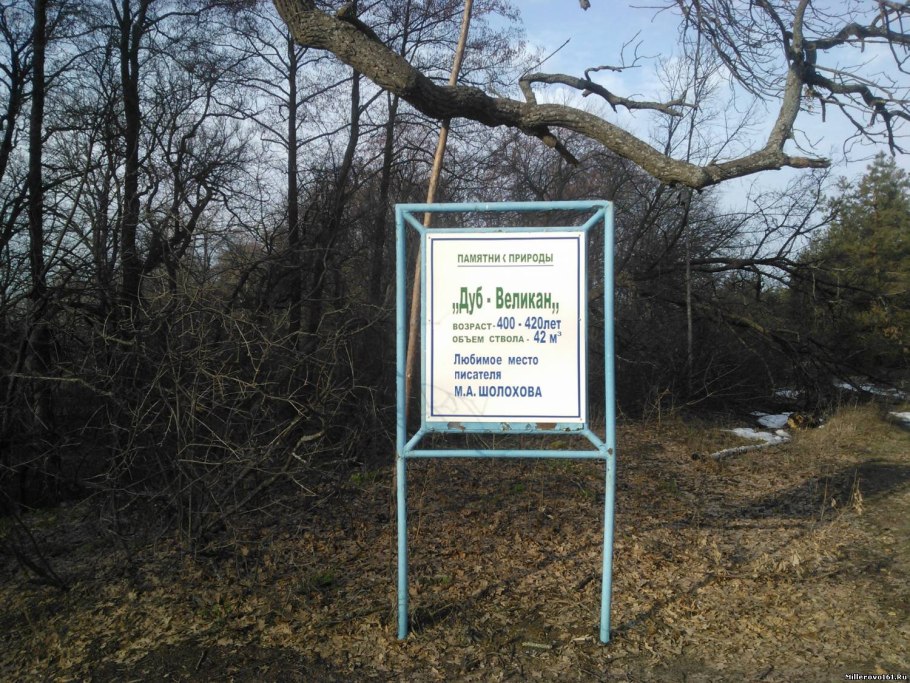 Дуб из сказки о царе Салтане