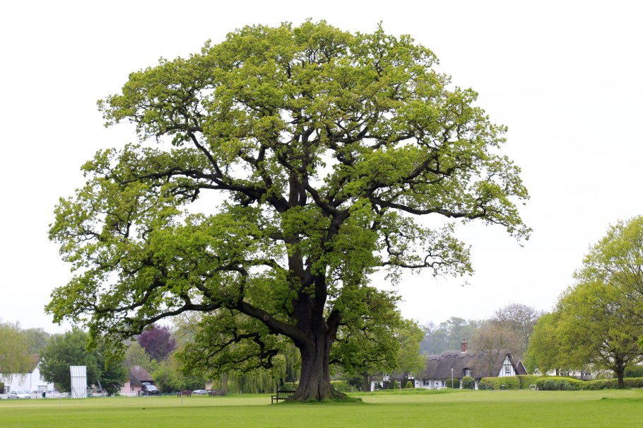 Агния Барто подростки