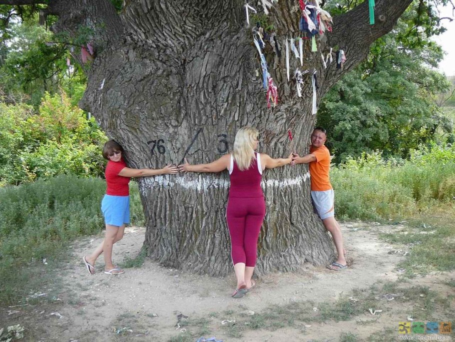 Дерево черно белое