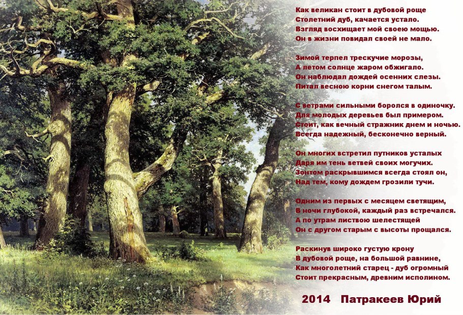 Стишки про дубы