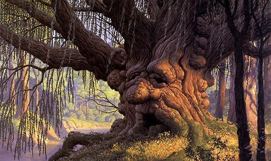 Кумысная Поляна дуб великан