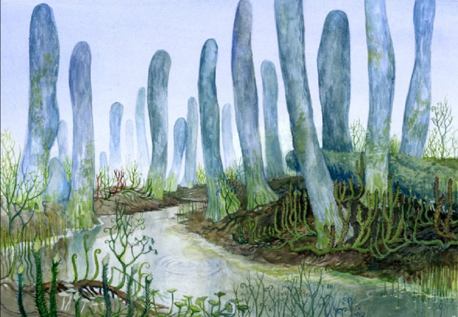 Каменноугольный период палеозойской эры