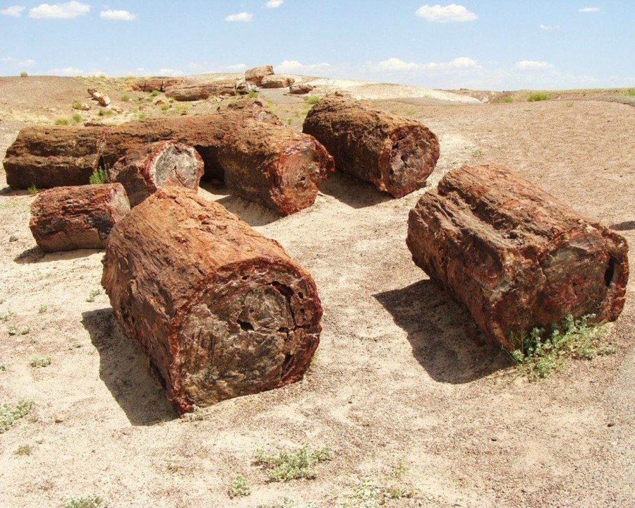 Национальный парк Петрифайд-Форест, Аризона